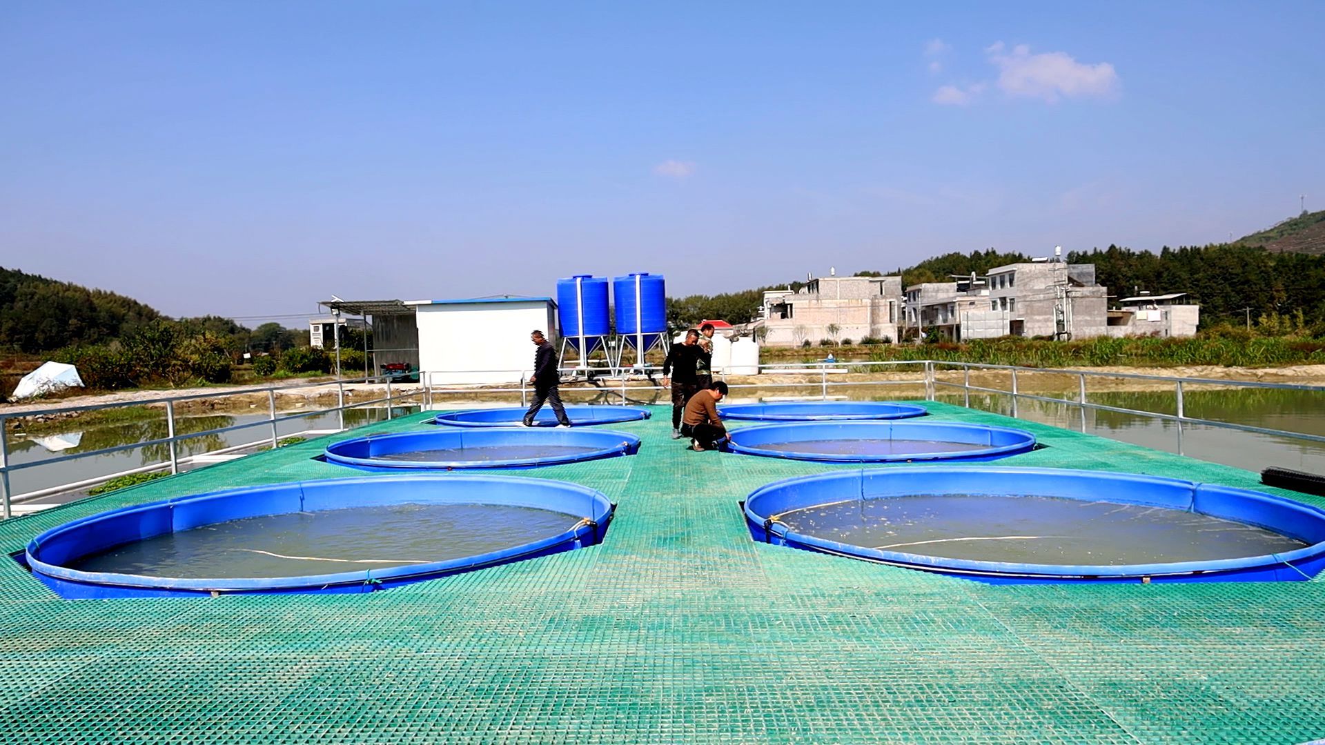 ras循環水,水產養殖擺脫抗生素的新希望!