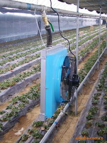 生產(chǎn)供應(yīng)商廠家 今日行情價格走勢 報價 萬信養(yǎng)殖溫控設(shè)備制造廠