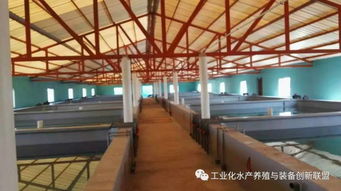 我們要養(yǎng)魚,我們也要環(huán)保,工廠化水產(chǎn)養(yǎng)殖系統(tǒng)備受關(guān)注