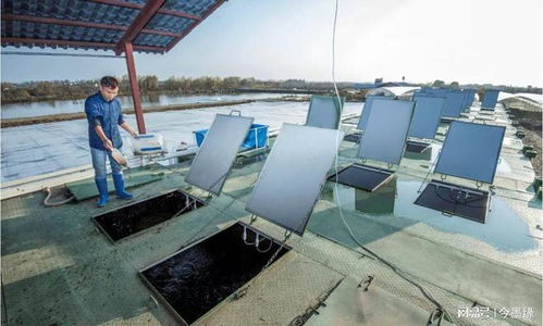 使用集裝箱養(yǎng)魚,特別之處在哪里