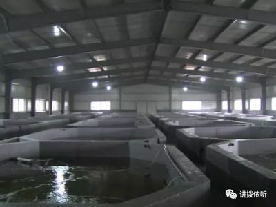 全省首創(chuàng)!這樣的水產(chǎn)養(yǎng)殖方式,你見過嗎?