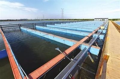 【專題研究】以水為魂、彰顯魅力 --以金湖&ldquo;水漾年華&rdquo;為例分析如何做好&ldquo;水&rdquo;主題園區(qū)