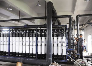 污水處理后可養魚 浙江溫嶺污水處理提標工程見成效