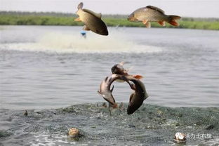 旗發改委召開農業灌溉供水價格聽證會 旗紀委監委為基層松綁減負 交 期中考試答卷 全面排除風險隱患保障肉食品安全...