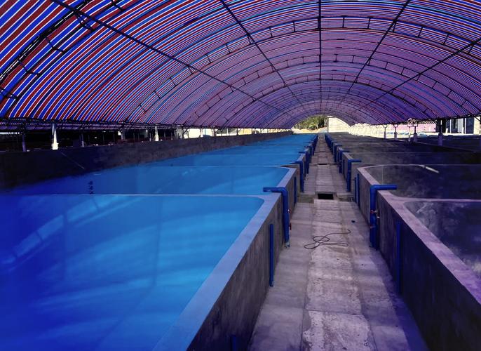 天可汗生態養殖漆,助力水產養殖