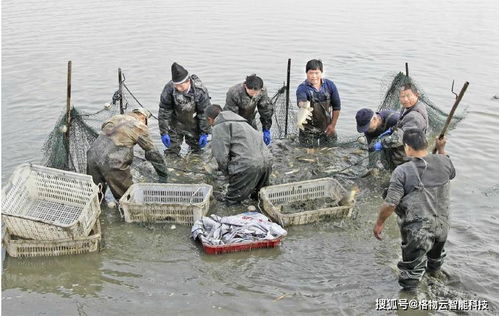 智慧水產養殖整體解決方案