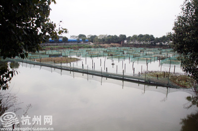 嘉興零污染的循環養殖法很給力-杭網原創-杭州網