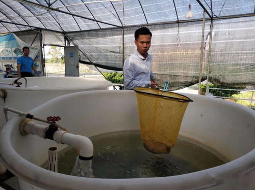 小康故事 一位95后的新型職業農民夢