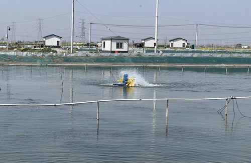 市供電公司 精準服務 保障春季水產品養殖用電安全