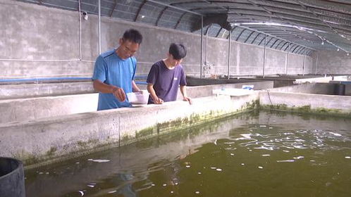 實現(xiàn)水產(chǎn)養(yǎng)殖西移 助力麥蓋提產(chǎn)業(yè)多元化發(fā)展