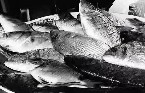 仙居 70年 滄桑巨變七十年 農(nóng)業(yè)農(nóng)村大發(fā)展