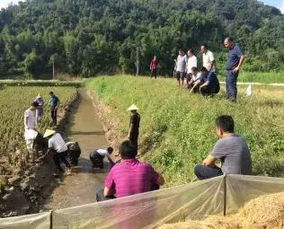 上海海洋大學(xué)赴德宏州開展名優(yōu)水產(chǎn)品稻田養(yǎng)殖技術(shù)培訓(xùn)