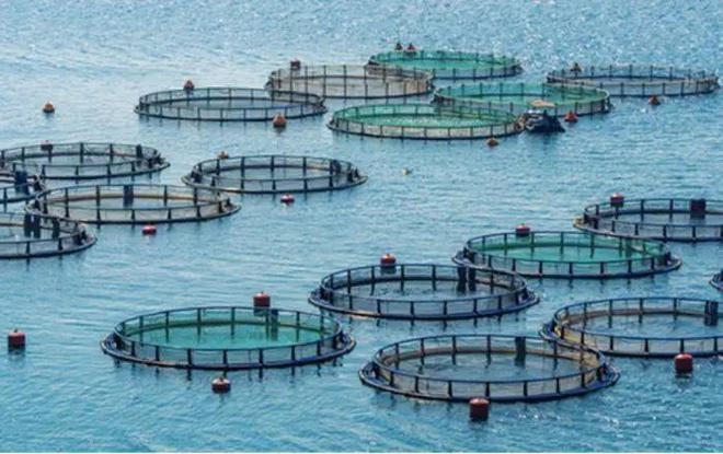 預(yù)制菜產(chǎn)業(yè),這一省將領(lǐng)跑全國?