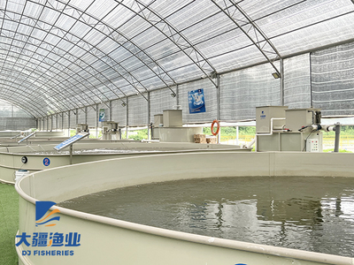 智慧漁業(yè)讓水產(chǎn)養(yǎng)殖更智能,拿著手機(jī)也能養(yǎng)魚