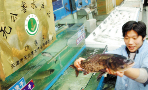 天津:水產(chǎn)品出問題直接找養(yǎng)殖基地