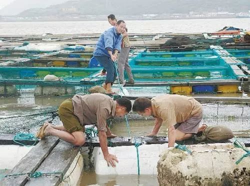 我省全面強化 兩節 期間水產品養殖監管執法