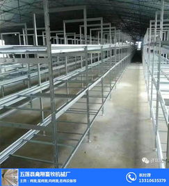 不銹鋼肉雞籠價格 禽翔籠具廠 肥城肉雞籠