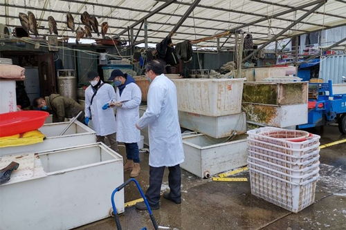 東海所防控疫情專題之七 東海所快速啟動疫情防控期間國家水產品質量安全例行監測工作