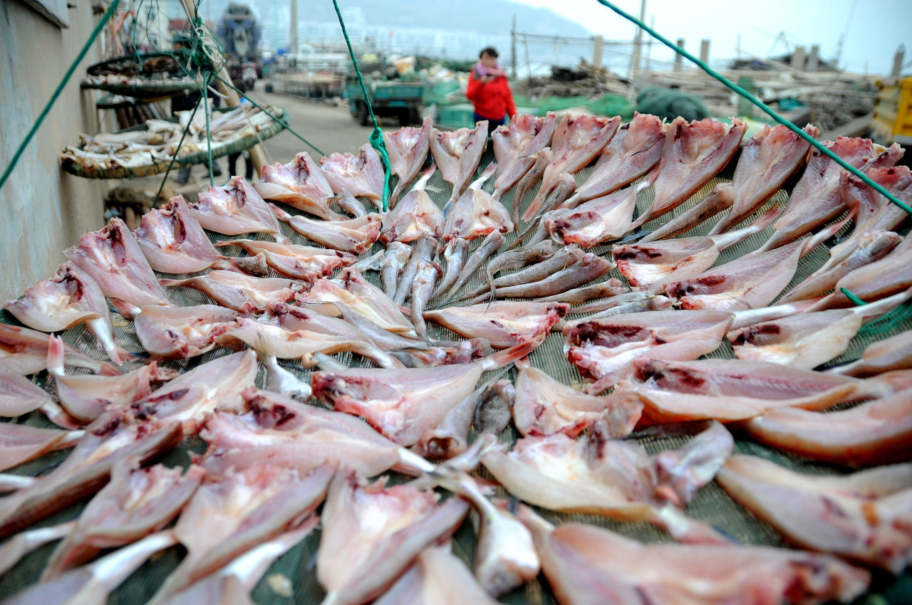 這年頭水產養殖的前景怎么樣?