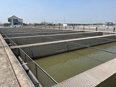 生態所水環境治理團隊赴上海奉賢區水產養殖合作社對接交流