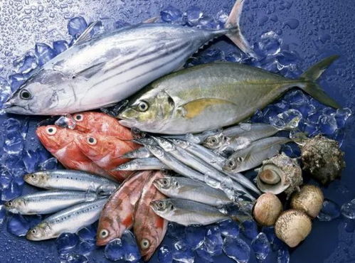 市場監管總局加大水產品食品安全監管及食鹽價格監管力度 每日金聞