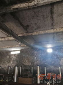 商洛廢棄養豬廠藏黑作坊 每天生產500多斤豆腐被取締