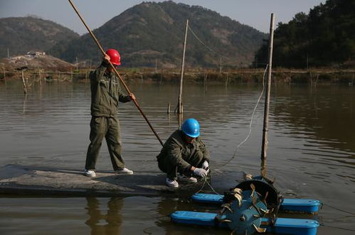浙江三門蛇蟠島電力之變 保障養殖水產品增收致富