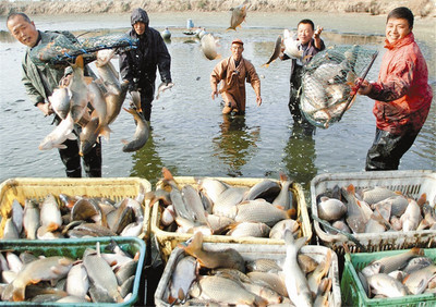 菜籃子-水產(chǎn)養(yǎng)殖