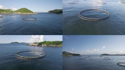 水產(chǎn)養(yǎng)殖水產(chǎn)養(yǎng)殖