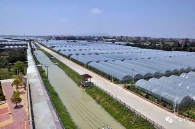 托起滿滿幸福感!福清農(nóng)業(yè)發(fā)展走出新路子