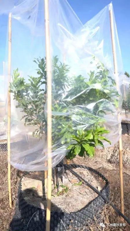 寒冷黃色預警生效中 冬季最強裝備要拿出手了