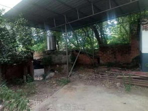 銀三角可做 倉庫 生態養殖水產品,魚,泥鰍,有機 其它房屋信息