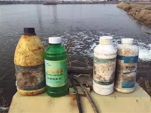 水產品還能吃嗎 廣州有花甲沙甲白貝檢出獸藥