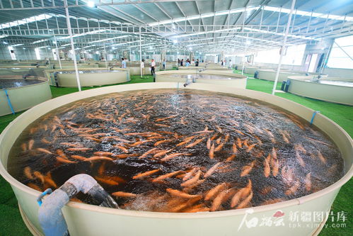 邊關萬里行 征途丨從喀什到和田,總讓人耳目一新