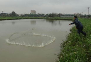 南海區人民政府門戶網站