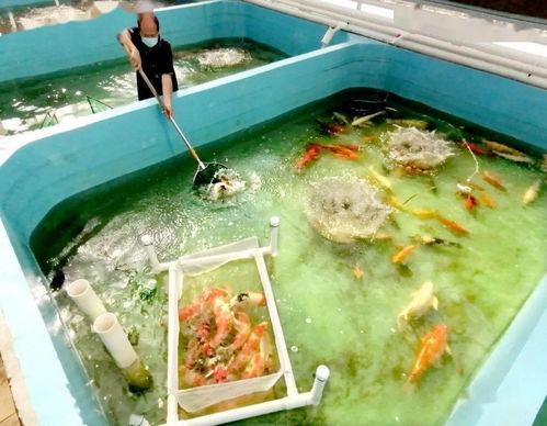 最大水族文化產業基地初見成效