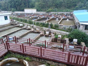 貴州水產研究所實驗基地