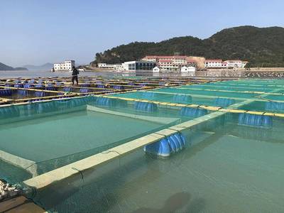 寒潮橙色預警!象山啟動低溫雨雪冰凍災害Ⅳ級應急響應