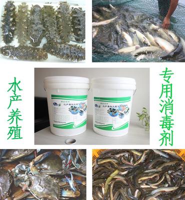 弗雷迪牌水產消毒劑魚蝦蟹泥鰍貝類養殖有效殺滅芽孢病菌直銷