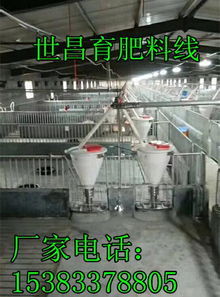 養豬設備廠供應自動下料桶,養豬設備廠供應自動下料桶生產廠家,養豬設備廠供應自動下料桶價格