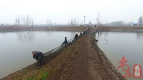 昔日塌陷地蛻變金山，水產(chǎn)品養(yǎng)殖年入五千萬(wàn)的振興密碼