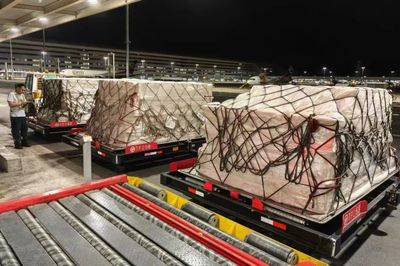 花湖機場首單鮮活水產品試航成功，水產品養殖產業迎來新機遇