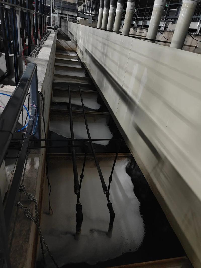 探訪福建匯澤漁業(yè) 全球最大單體鰻魚工廠化養(yǎng)殖基地的創(chuàng)新實踐