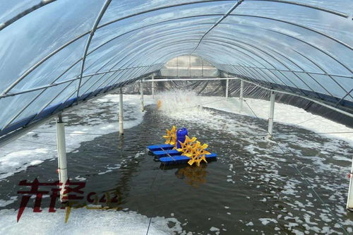 水產(chǎn)品養(yǎng)殖中藥品與飼料添加劑的使用與規(guī)范