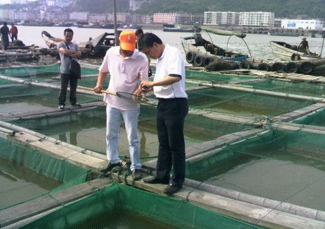 浙江溫州首批25家養殖場水產品獲得“身份證”，開啟養殖追溯新篇章