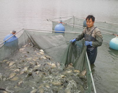 江蘇揚州寶應縣 水產(chǎn)養(yǎng)殖示范戶帶動輻射戶共創(chuàng)致富之路