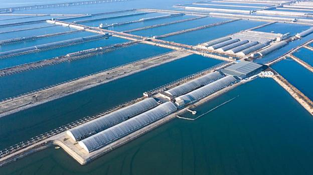 海鮮養殖之美 探索水產品養殖的多彩世界