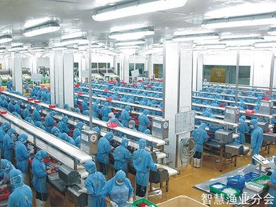 湛江國聯水產開發股份 引領水產品養殖的現代化發展