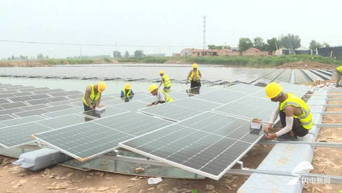 漁光互補創新模式 平原縣水上發電水下養魚項目助農增收