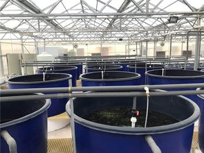 智慧農(nóng)研時(shí)代 優(yōu)質(zhì)水產(chǎn)養(yǎng)魚設(shè)備供應(yīng)商如何賦能水產(chǎn)品養(yǎng)殖